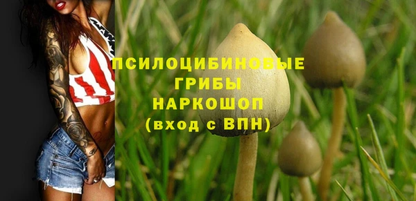 бошки Вяземский