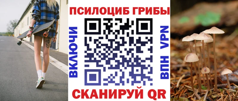 omg ссылки Знаменск Псилоцибиновые грибы Cubensis
