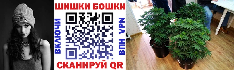 Бошки марихуана White Widow  kraken зеркало  Знаменск 